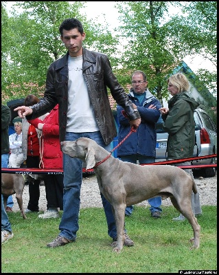 Des grandes maurières - Nationale d'Elevage 2009