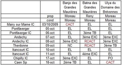 Des grandes maurières - Bilan Field-Trials Automne 2009