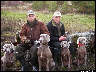 Des grandes maurières - Chasse à la bécasse